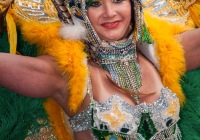 The Queen of Samba