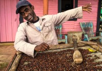 cuban-farmer-sorting-coffee-beans-in-vi%c3%b1ales