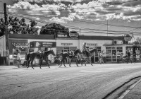 horses-on-street-in-front-of-gas-station-in-vi%c3%b1ales